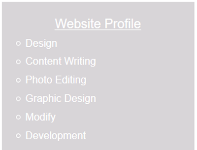 website profile